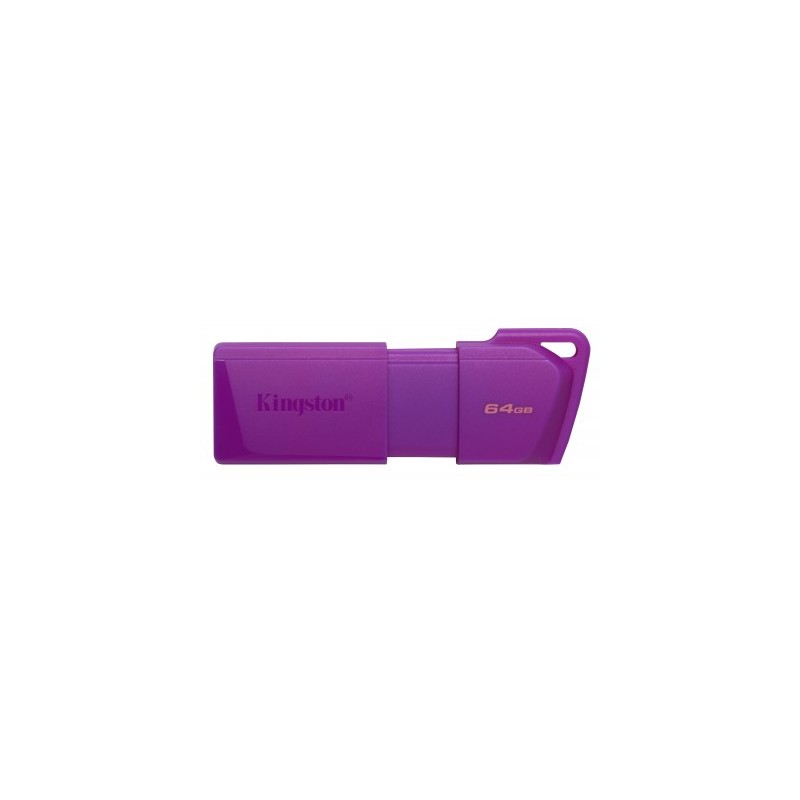 USB KINGSTON DTX/64GB KC-U2L64-7LP MORAD